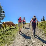 In Brixental Near Hiking Trails