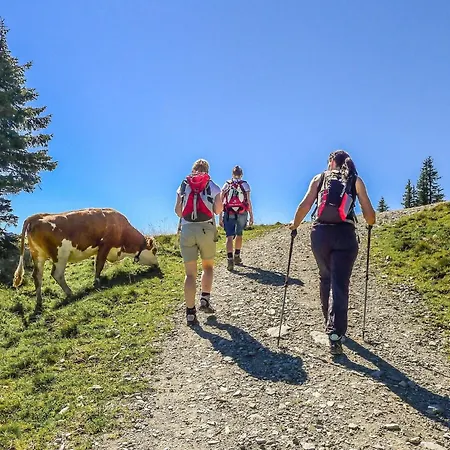 In Brixental Near Hiking Trails